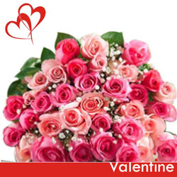 gift valentine pink rush bunch of pink roses gift online to belgaum