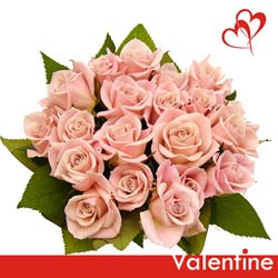 send online bunch of baby pink roses to belgaum
