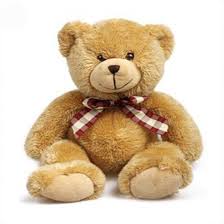 cute teddy bear to pune